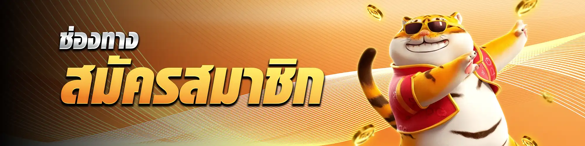 สมัครZEED66